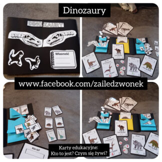 Dinozaury - karty edukacyjne