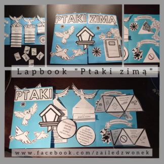 Lapbook "Ptaki zimą"