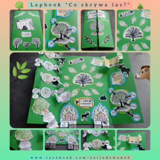 Lapbook "Co skrywa LAS?" + tablice edukacyjne