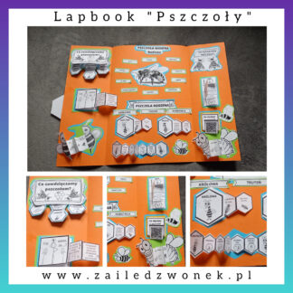 Lapbook "Pszczoły"